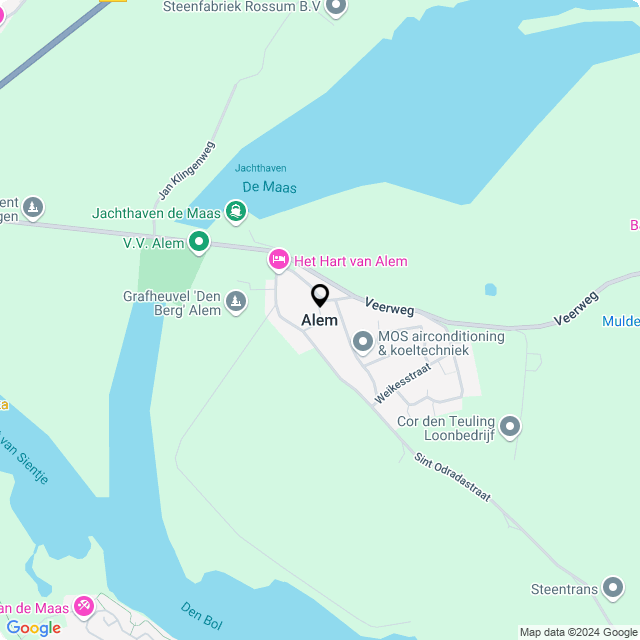 Bloemist Alem – Jouw Bloemenwinkel voor Prachtige Bloemen en Boeketten