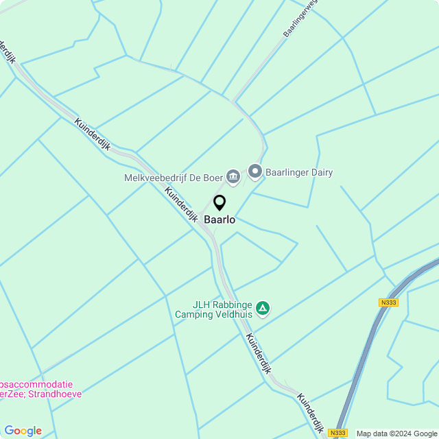 Bloemist Baarlo – Jouw Bloemenwinkel voor Prachtige Bloemen en Boeketten