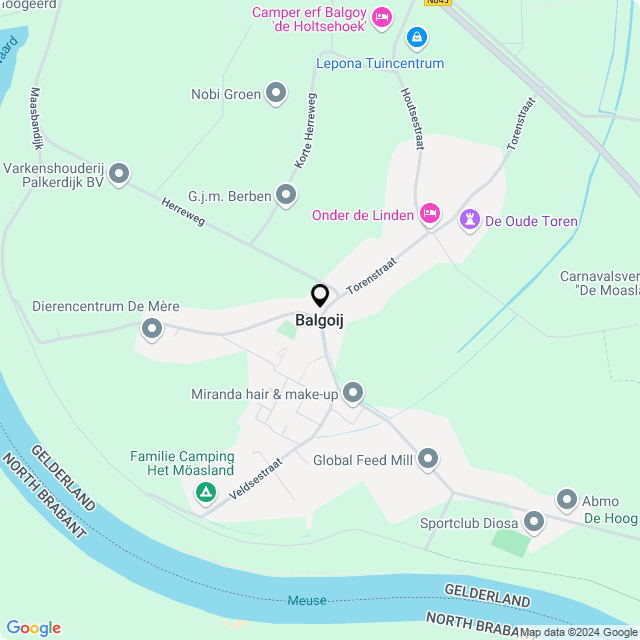 Bloemist Balgoij – Jouw Bloemenwinkel voor Prachtige Bloemen en Boeketten