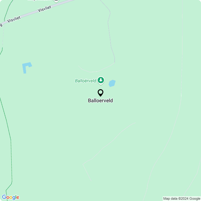 Bloemist Balloërveld – Jouw Bloemenwinkel voor Prachtige Bloemen en Boeketten