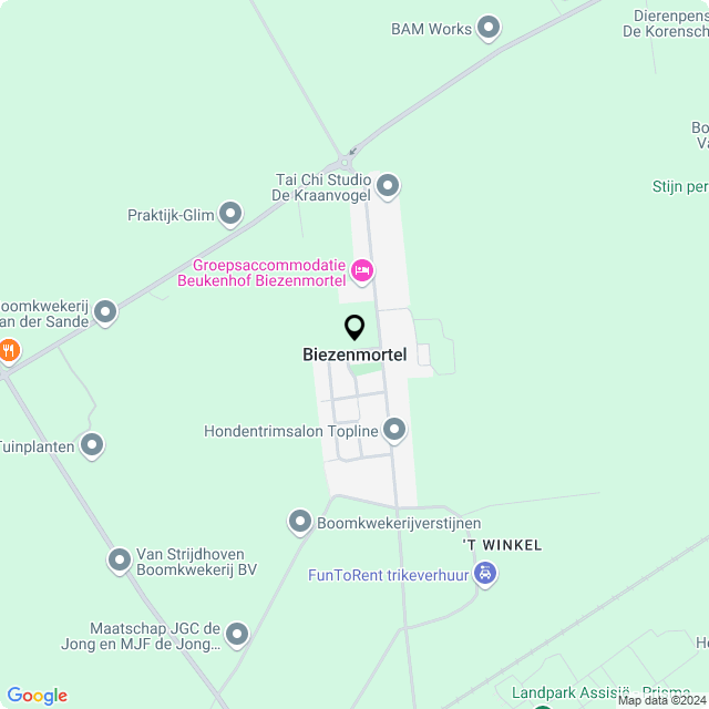 Bloemist Biezenmortel – Jouw Bloemenwinkel voor Prachtige Bloemen en Boeketten
