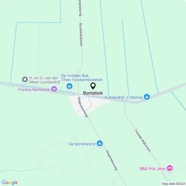 Bloemist Bontebok – Jouw Bloemenwinkel voor Prachtige Bloemen en Boeketten