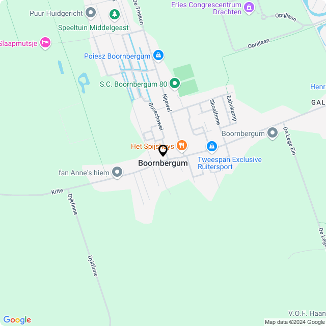 Bloemist Boornbergum – Jouw Bloemenwinkel voor Prachtige Bloemen en Boeketten