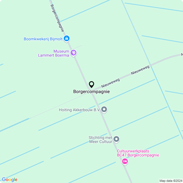 Bloemist Borgercompagnie – Jouw Bloemenwinkel voor Prachtige Bloemen en Boeketten