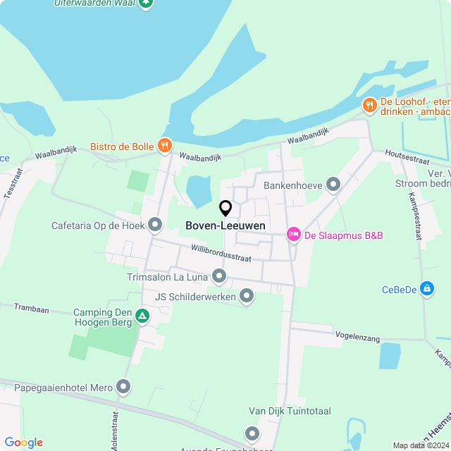 Bloemist Boven-Leeuwen – Jouw Bloemenwinkel voor Prachtige Bloemen en Boeketten