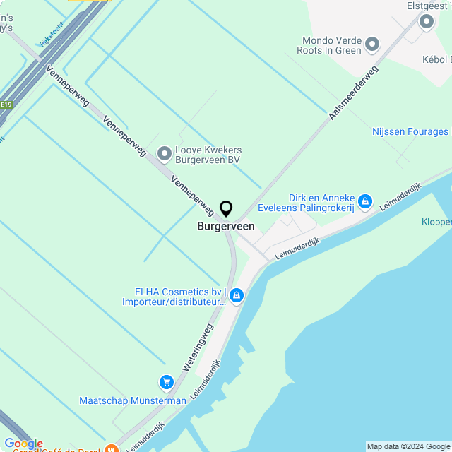 Bloemist Burgerveen – Jouw Bloemenwinkel voor Prachtige Bloemen en Boeketten