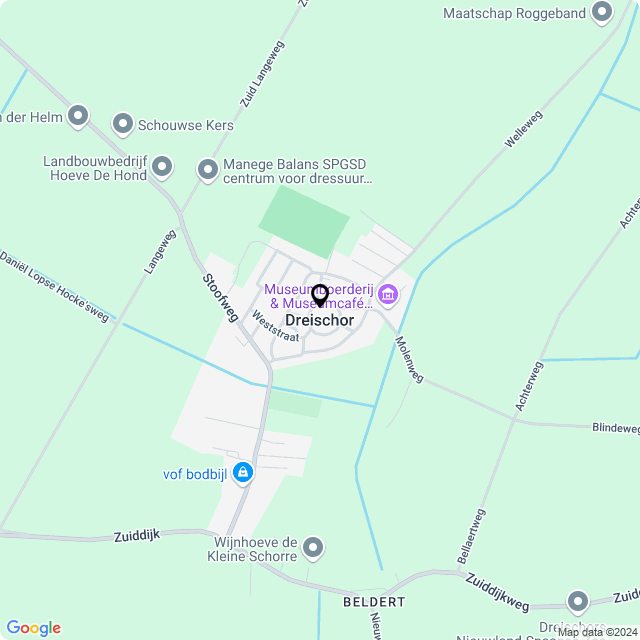 Bloemist Dreischor – Jouw Bloemenwinkel voor Prachtige Bloemen en Boeketten