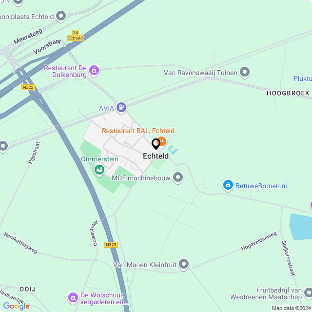 Bloemist Echteld – Jouw Bloemenwinkel voor Prachtige Bloemen en Boeketten