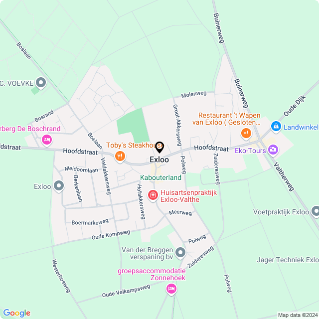 Bloemist Exloo – Jouw Bloemenwinkel voor Prachtige Bloemen en Boeketten