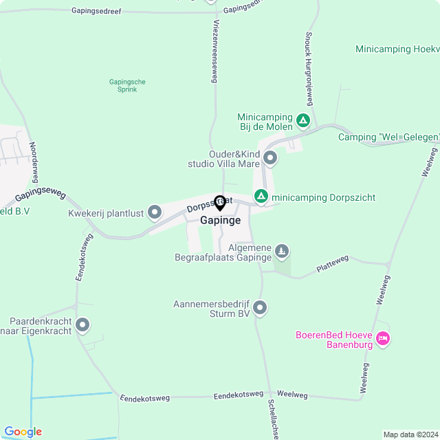 Bloemist Gapinge – Jouw Bloemenwinkel voor Prachtige Bloemen en Boeketten