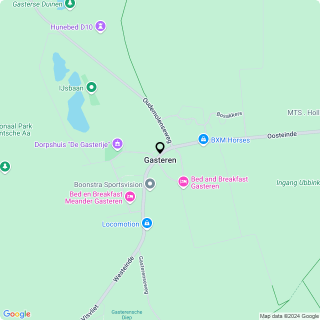 Bloemist Gasteren – Jouw Bloemenwinkel voor Prachtige Bloemen en Boeketten