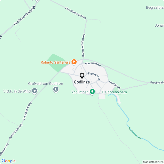 Bloemist Godlinze – Jouw Bloemenwinkel voor Prachtige Bloemen en Boeketten