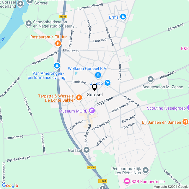 Bloemist Gorssel – Jouw Bloemenwinkel voor Prachtige Bloemen en Boeketten