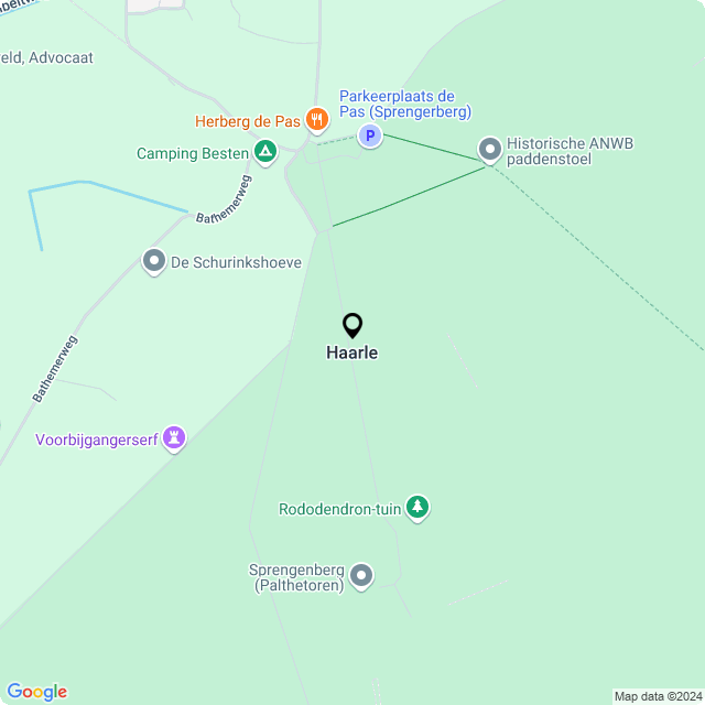 Bloemist Haarle – Jouw Bloemenwinkel voor Prachtige Bloemen en Boeketten
