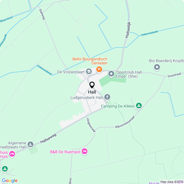 Bloemist Hall – Jouw Bloemenwinkel voor Prachtige Bloemen en Boeketten
