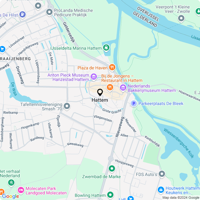 Bloemist Hattem – Jouw Bloemenwinkel voor Prachtige Bloemen en Boeketten