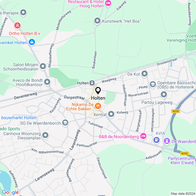 Bloemist Holten – Jouw Bloemenwinkel voor Prachtige Bloemen en Boeketten