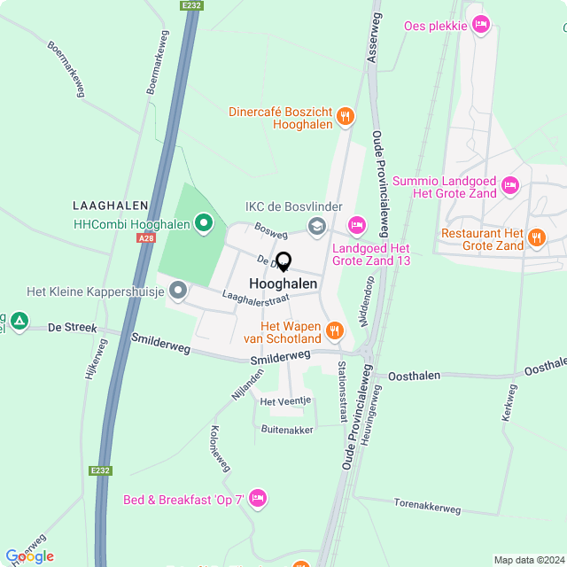 Bloemist Hooghalen – Jouw Bloemenwinkel voor Prachtige Bloemen en Boeketten