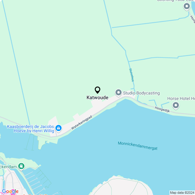 Bloemist Katwoude – Jouw Bloemenwinkel voor Prachtige Bloemen en Boeketten