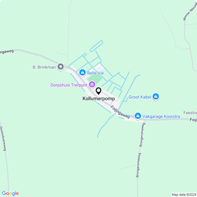 Bloemist Kollumerpomp – Jouw Bloemenwinkel voor Prachtige Bloemen en Boeketten