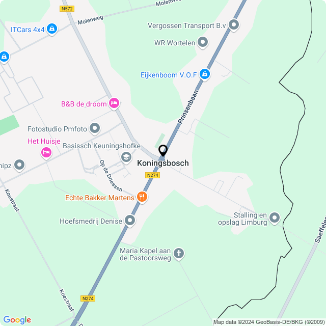Bloemist Koningsbosch – Jouw Bloemenwinkel voor Prachtige Bloemen en Boeketten