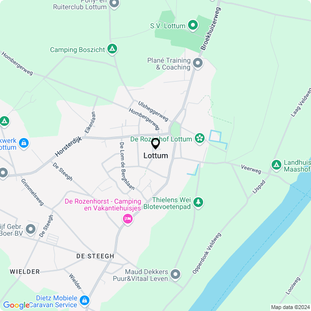Bloemist Lottum – Jouw Bloemenwinkel voor Prachtige Bloemen en Boeketten