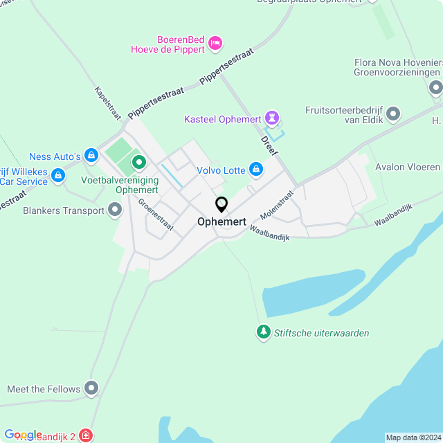 Bloemist Ophemert – Jouw Bloemenwinkel voor Prachtige Bloemen en Boeketten