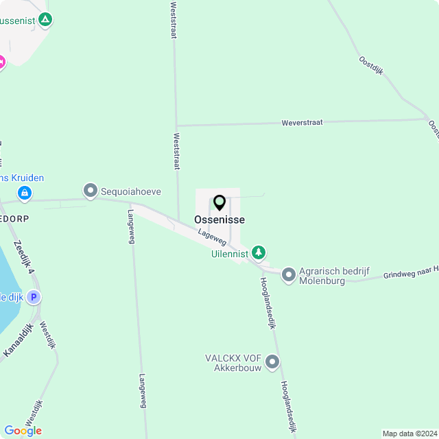 Bloemist Ossenisse – Jouw Bloemenwinkel voor Prachtige Bloemen en Boeketten