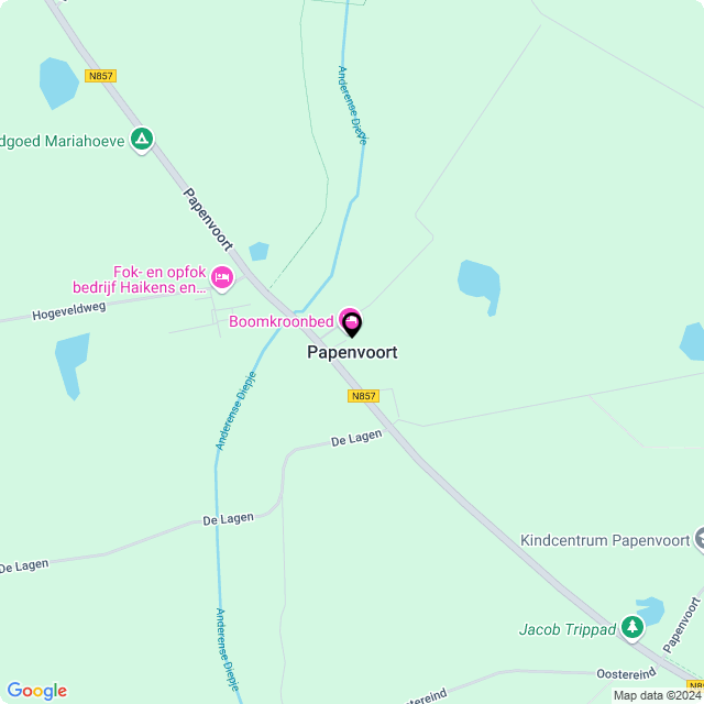 Bloemist Papenvoort – Jouw Bloemenwinkel voor Prachtige Bloemen en Boeketten