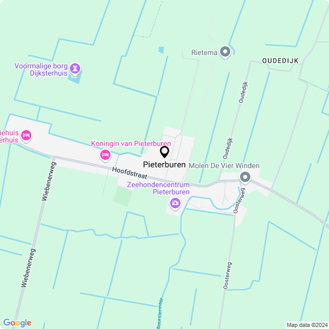 Bloemist Pieterburen – Jouw Bloemenwinkel voor Prachtige Bloemen en Boeketten