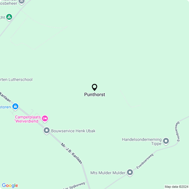 Bloemist Punthorst – Jouw Bloemenwinkel voor Prachtige Bloemen en Boeketten