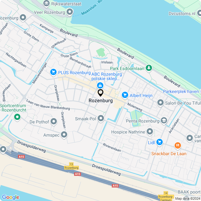 Bloemist Rozenburg – Jouw Bloemenwinkel voor Prachtige Bloemen en Boeketten