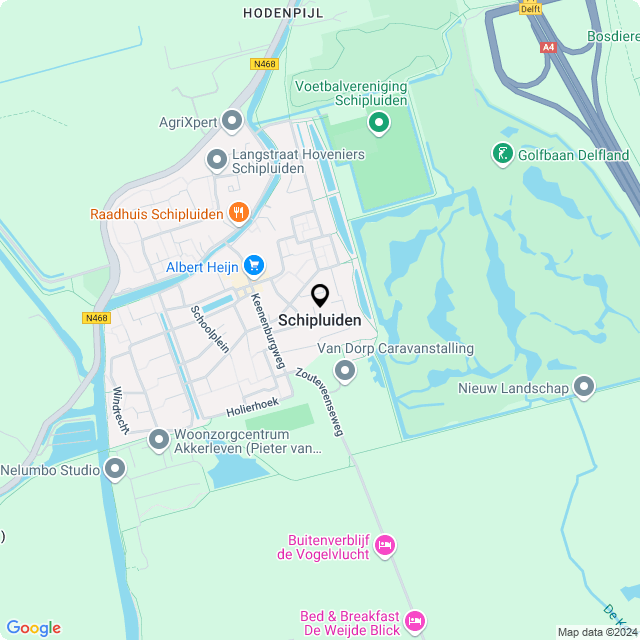 Bloemist Schipluiden – Jouw Bloemenwinkel voor Prachtige Bloemen en Boeketten