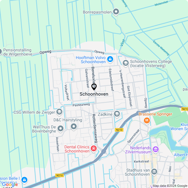Bloemist Schoonhoven – Jouw Bloemenwinkel voor Prachtige Bloemen en Boeketten