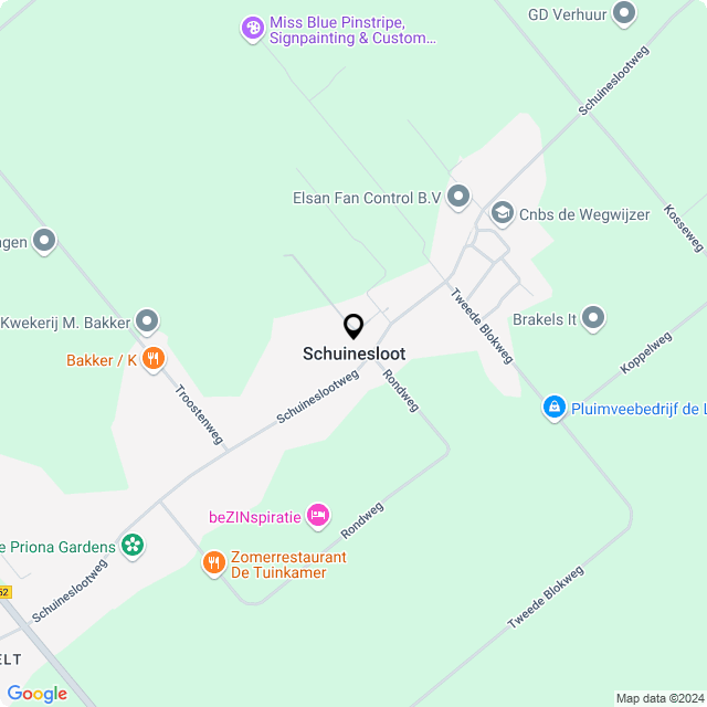 Bloemist Schuinesloot – Jouw Bloemenwinkel voor Prachtige Bloemen en Boeketten