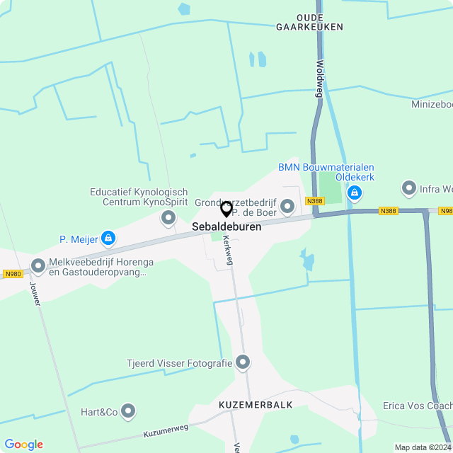 Bloemist Sebaldeburen – Jouw Bloemenwinkel voor Prachtige Bloemen en Boeketten