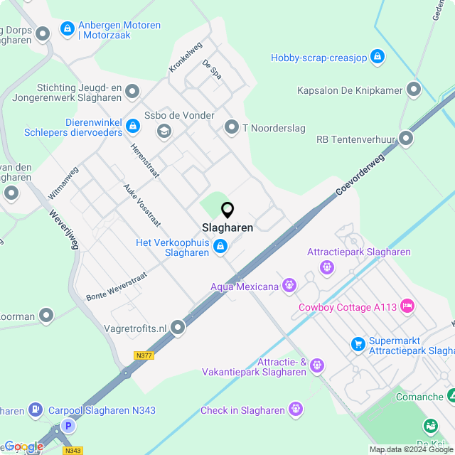 Bloemist Slagharen – Jouw Bloemenwinkel voor Prachtige Bloemen en Boeketten