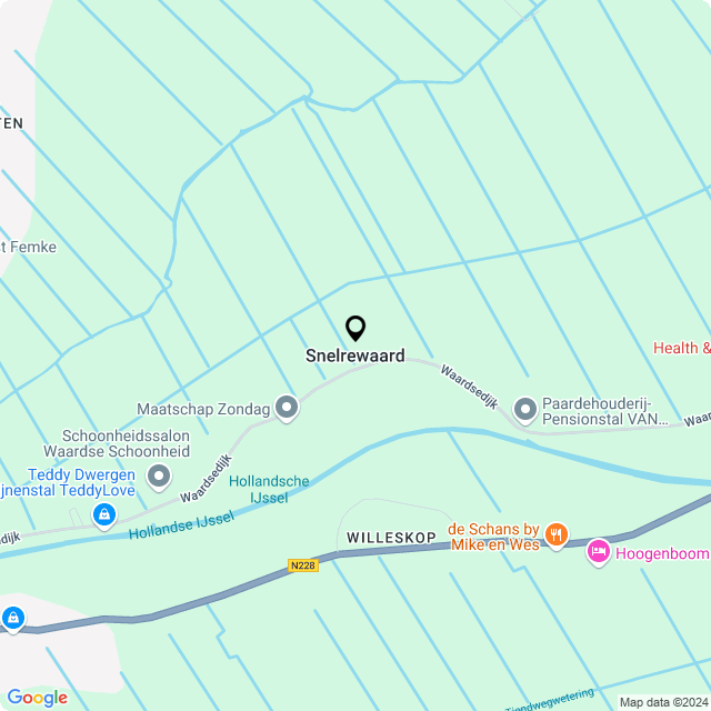 Bloemist Snelrewaard – Jouw Bloemenwinkel voor Prachtige Bloemen en Boeketten