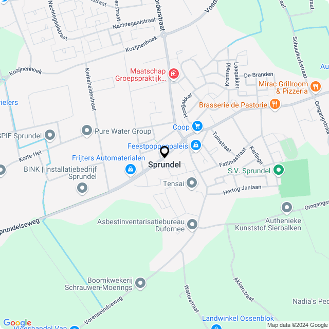 Bloemist Sprundel – Jouw Bloemenwinkel voor Prachtige Bloemen en Boeketten