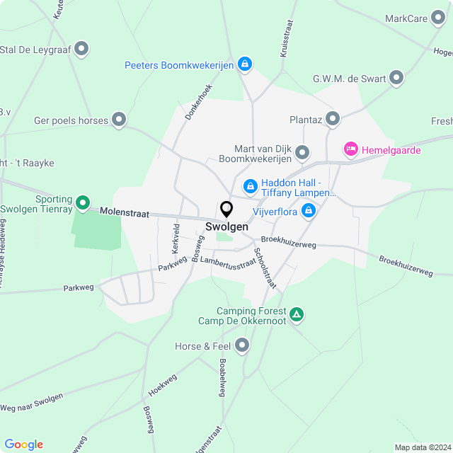 Bloemist Swolgen – Jouw Bloemenwinkel voor Prachtige Bloemen en Boeketten