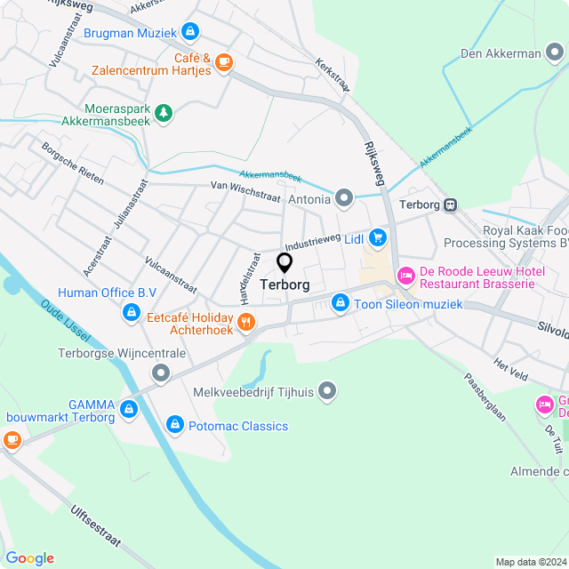 Bloemist Terborg – Jouw Bloemenwinkel voor Prachtige Bloemen en Boeketten