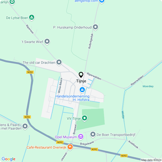 Bloemist Tijnje – Jouw Bloemenwinkel voor Prachtige Bloemen en Boeketten