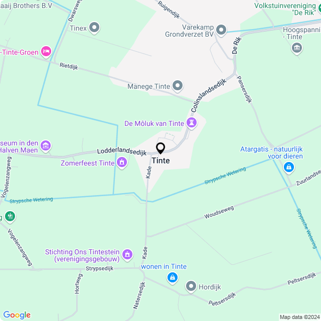 Bloemist Tinte – Jouw Bloemenwinkel voor Prachtige Bloemen en Boeketten