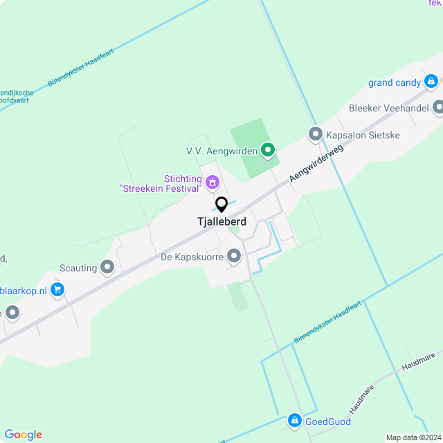 Bloemist Tjalleberd – Jouw Bloemenwinkel voor Prachtige Bloemen en Boeketten