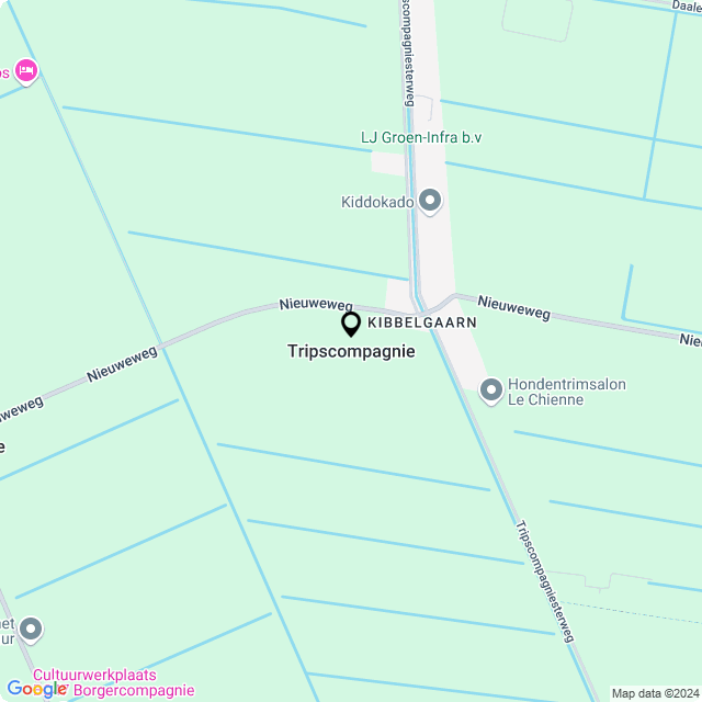 Bloemist Tripscompagnie – Jouw Bloemenwinkel voor Prachtige Bloemen en Boeketten