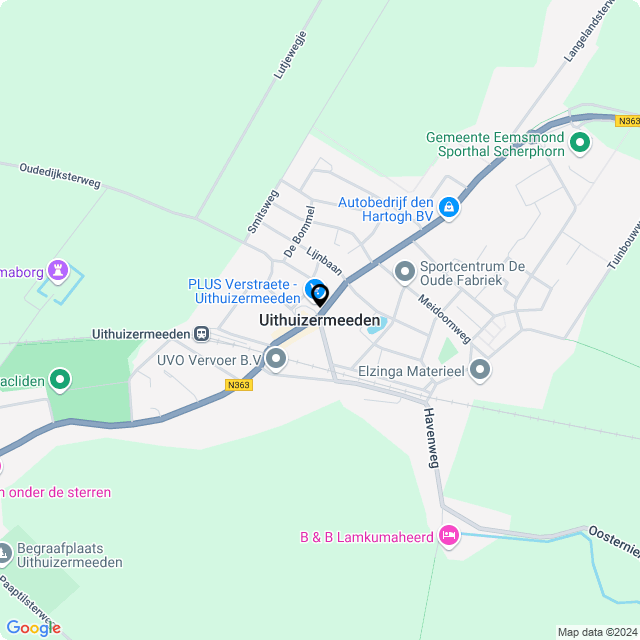 Bloemist Uithuizermeeden – Jouw Bloemenwinkel voor Prachtige Bloemen en Boeketten