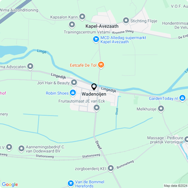 Bloemist Wadenoijen – Jouw Bloemenwinkel voor Prachtige Bloemen en Boeketten