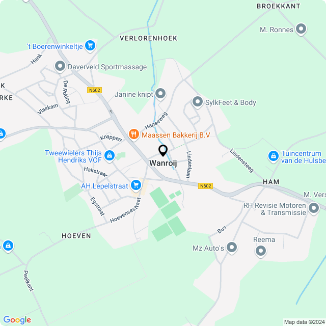 Bloemist Wanroij – Jouw Bloemenwinkel voor Prachtige Bloemen en Boeketten