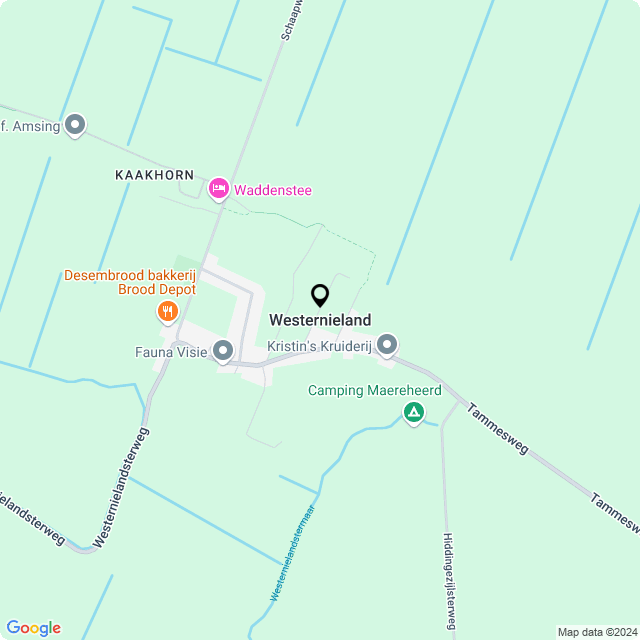 Bloemist Westernieland – Jouw Bloemenwinkel voor Prachtige Bloemen en Boeketten
