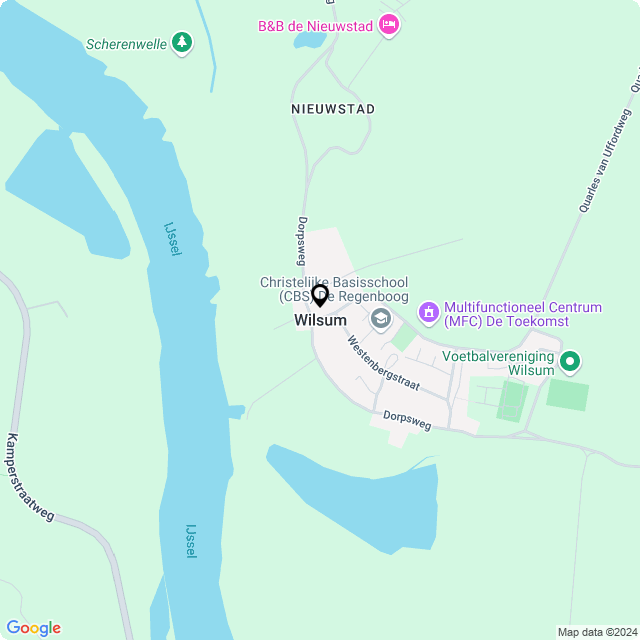 Bloemist Wilsum – Jouw Bloemenwinkel voor Prachtige Bloemen en Boeketten